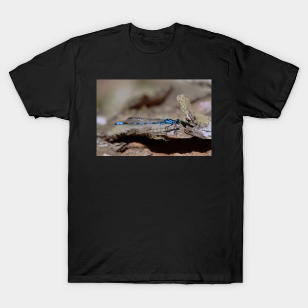 Common blue dragonfly T-Shirt by orcadia